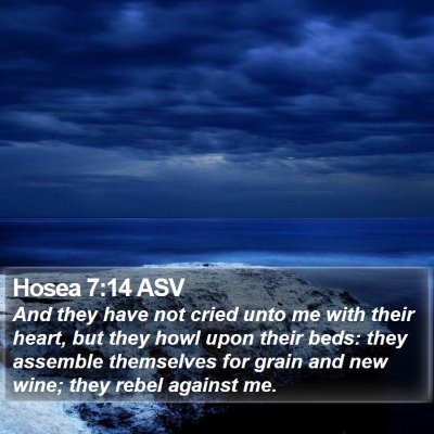 Hosea 7:14 ASV Bible Verse Image