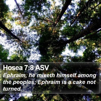 Hosea 7:8 ASV Bible Verse Image