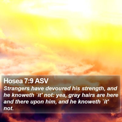 Hosea 7:9 ASV Bible Verse Image