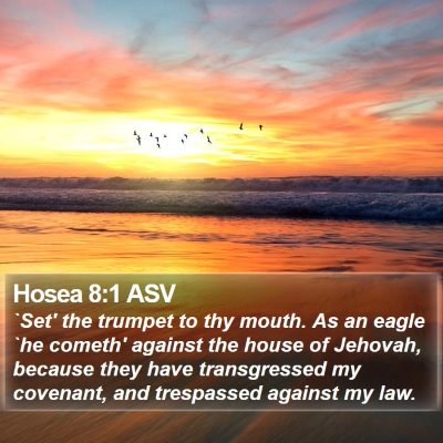 Hosea 8:1 ASV Bible Verse Image