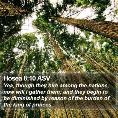 Hosea 8:10 ASV Bible Verse Image