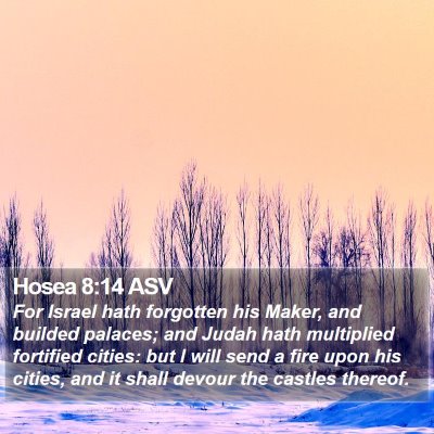 Hosea 8:14 ASV Bible Verse Image