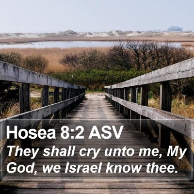 Hosea 8:2 ASV Bible Verse Image
