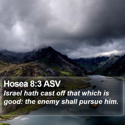 Hosea 8:3 ASV Bible Verse Image