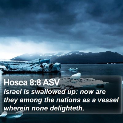 Hosea 8:8 ASV Bible Verse Image