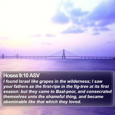 Hosea 9:10 ASV Bible Verse Image