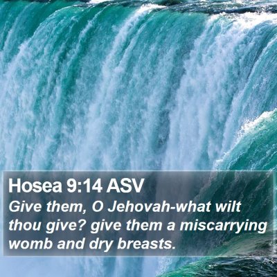 Hosea 9:14 ASV Bible Verse Image