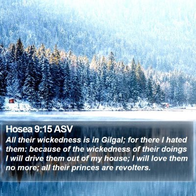 Hosea 9:15 ASV Bible Verse Image