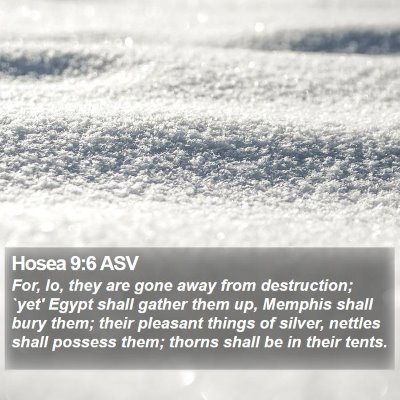 Hosea 9:6 ASV Bible Verse Image