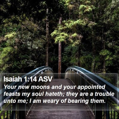 Isaiah 1:14 ASV Bible Verse Image