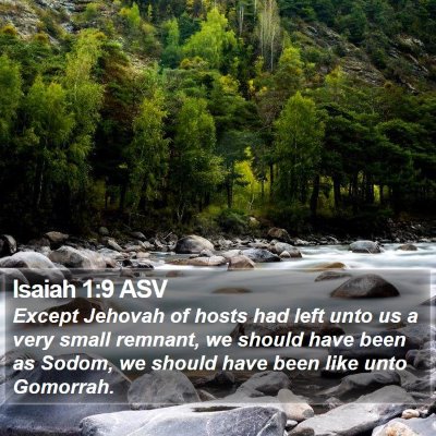Isaiah 1:9 ASV Bible Verse Image