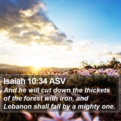 Isaiah 10:34 ASV Bible Verse Image