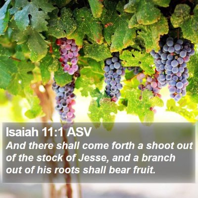 Isaiah 11:1 ASV Bible Verse Image