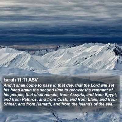 Isaiah 11:11 ASV Bible Verse Image