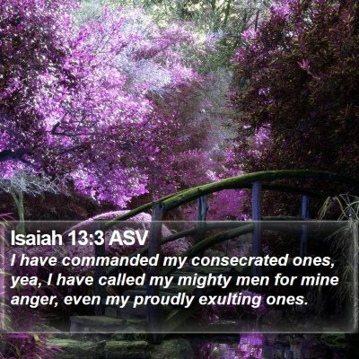 Isaiah 13:3 ASV Bible Verse Image