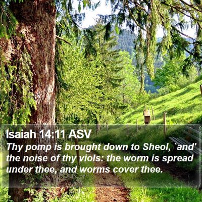 Isaiah 14:11 ASV Bible Verse Image