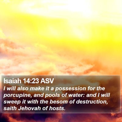 Isaiah 14:23 ASV Bible Verse Image