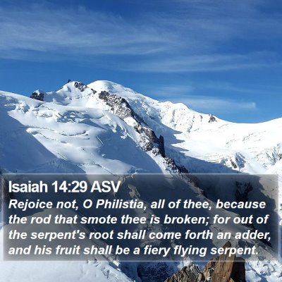 Isaiah 14:29 ASV Bible Verse Image