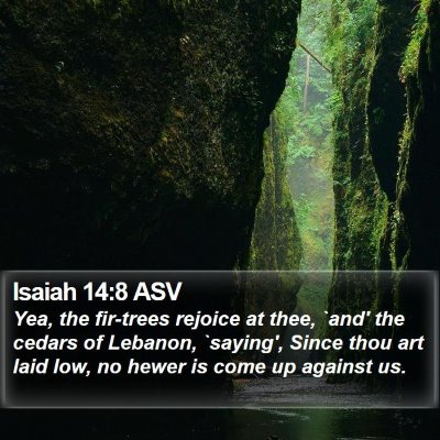 Isaiah 14:8 ASV Bible Verse Image