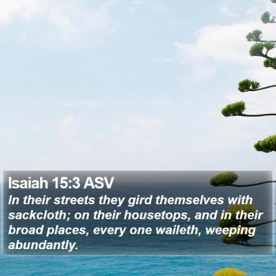 Isaiah 15:3 ASV Bible Verse Image