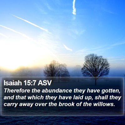 Isaiah 15:7 ASV Bible Verse Image