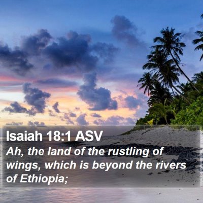 Isaiah 18:1 ASV Bible Verse Image