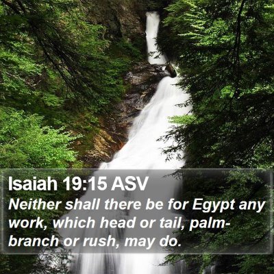 Isaiah 19:15 ASV Bible Verse Image