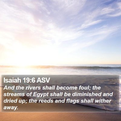 Isaiah 19:6 ASV Bible Verse Image