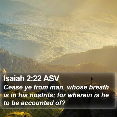 Isaiah 2:22 ASV Bible Verse Image