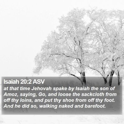 Isaiah 20:2 ASV Bible Verse Image