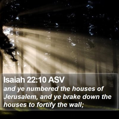 Isaiah 22:10 ASV Bible Verse Image