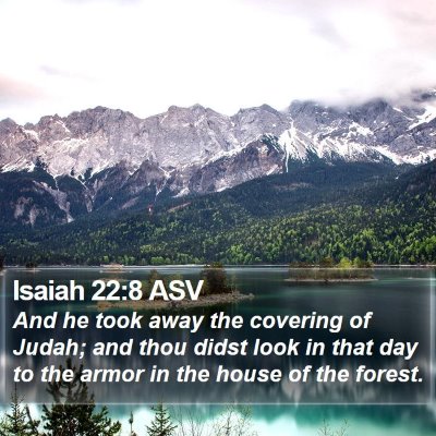 Isaiah 22:8 ASV Bible Verse Image