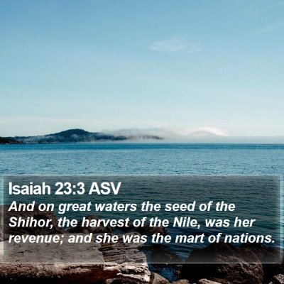 Isaiah 23:3 ASV Bible Verse Image