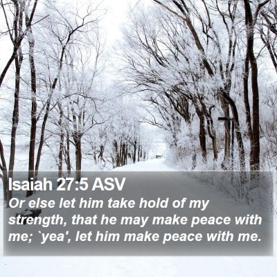Isaiah 27:5 ASV Bible Verse Image