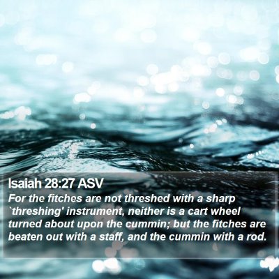 Isaiah 28:27 ASV Bible Verse Image