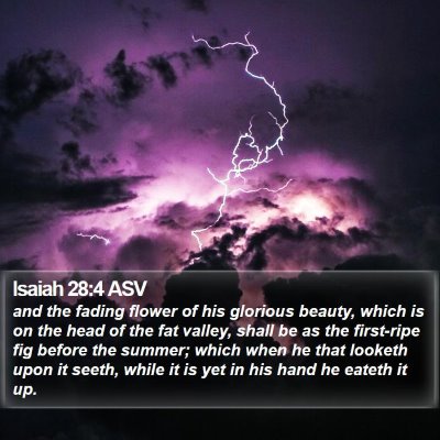 Isaiah 28:4 ASV Bible Verse Image