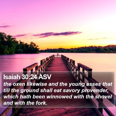 Isaiah 30:24 ASV Bible Verse Image