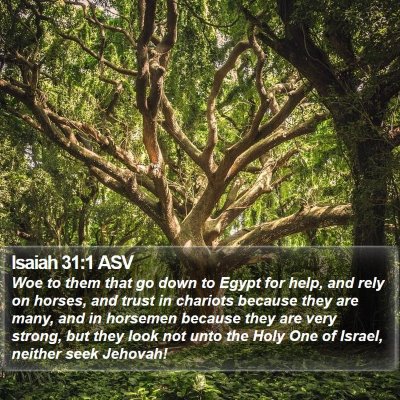 Isaiah 31:1 ASV Bible Verse Image