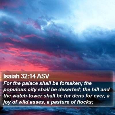 Isaiah 32:14 ASV Bible Verse Image