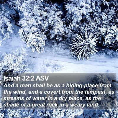 Isaiah 32:2 ASV Bible Verse Image