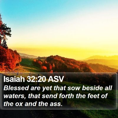 Isaiah 32:20 ASV Bible Verse Image