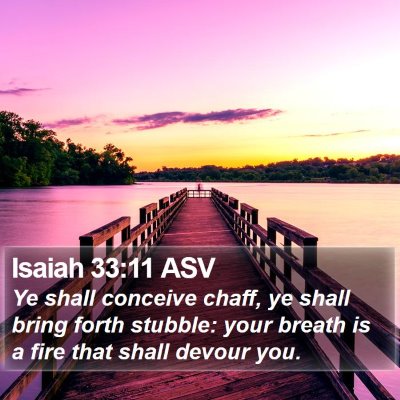Isaiah 33:11 ASV Bible Verse Image