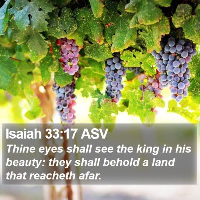 Isaiah 33:17 ASV Bible Verse Image