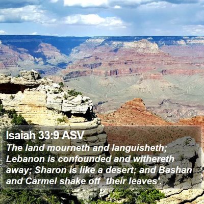 Isaiah 33:9 ASV Bible Verse Image