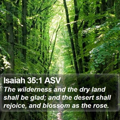 Isaiah 35:1 ASV Bible Verse Image
