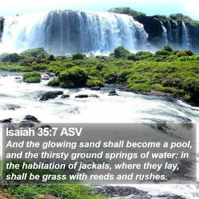 Isaiah 35:7 ASV Bible Verse Image