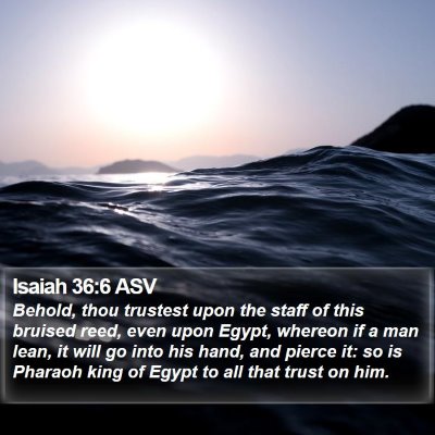 Isaiah 36:6 ASV Bible Verse Image