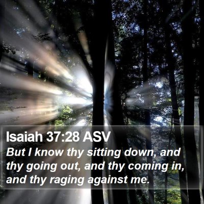 Isaiah 37:28 ASV Bible Verse Image