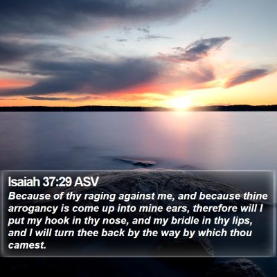 Isaiah 37:29 ASV Bible Verse Image