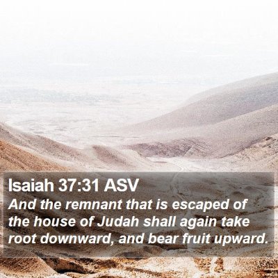 Isaiah 37:31 ASV Bible Verse Image